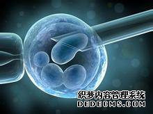 人工授精成功率是多少人 工受精的费用贵吗